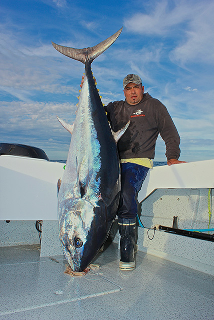 ANGLER: Kevin Agius SPECIES: Southern Bluefin Tuna  WEIGHT: 111 kg. LURE: JB Lures, Micro Dingo